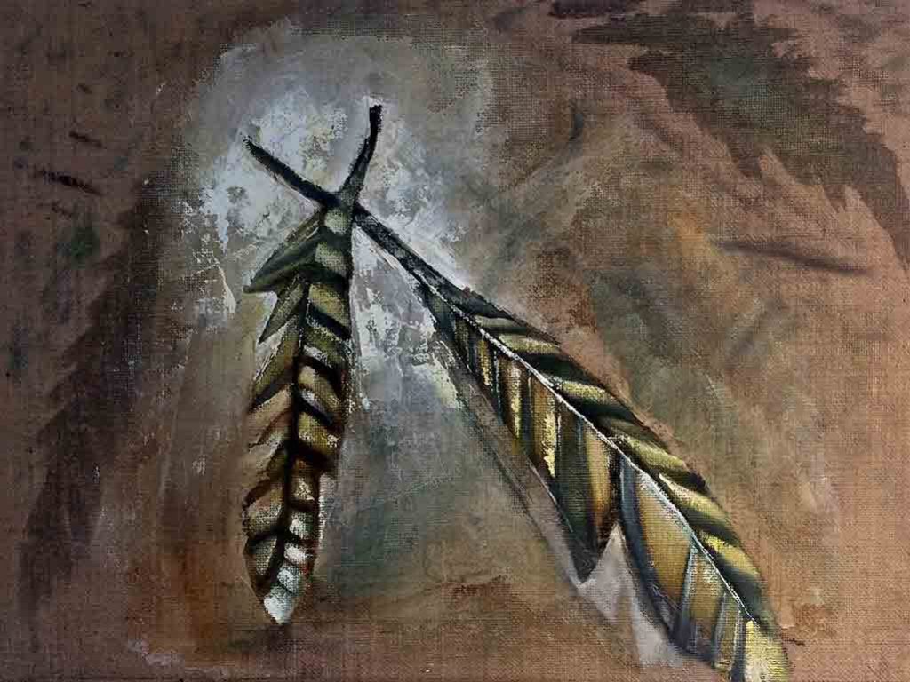 Hawk Feathers